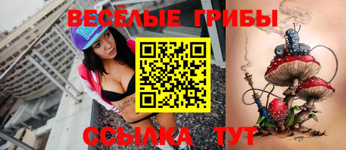 Псилоцибиновые грибы Psilocybe  Вход с VPN  где купить наркоту  Моздок 