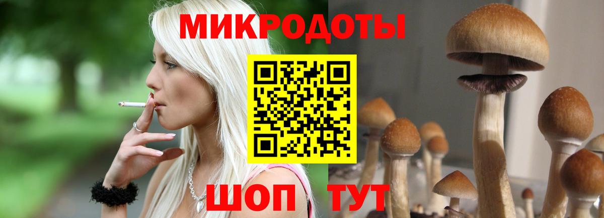 Псилоцибиновые грибы ЛСД Моздок